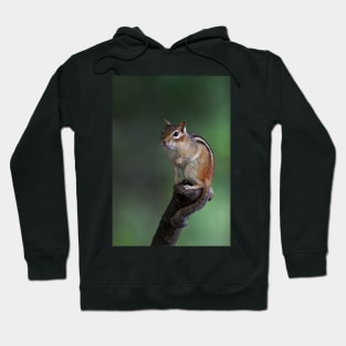 Poser - Chipmunk Hoodie